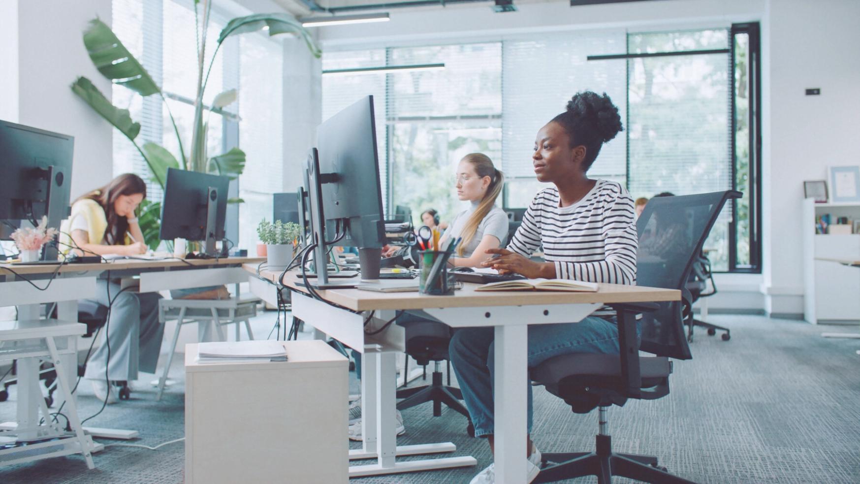 Graduado aplicando conocimientos de SDLC en proyecto profesional